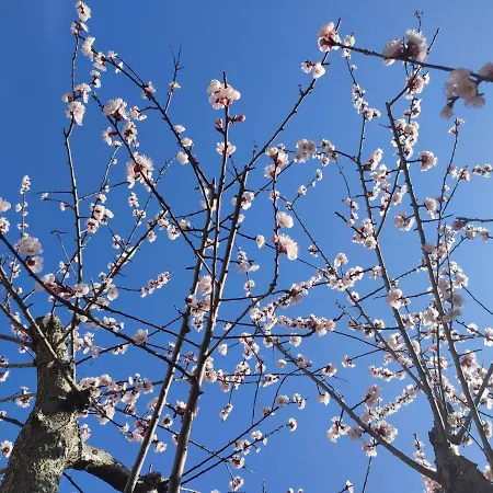 Apartment Darsena Tra Arte E Mare *