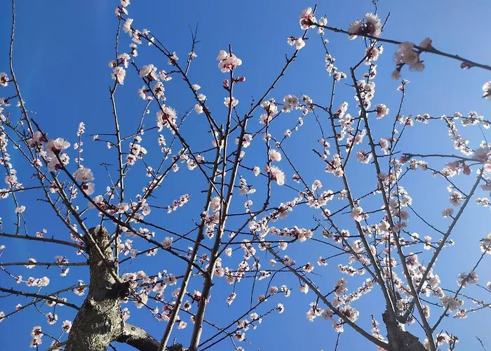 Апартаменти Darsena Tra Arte E Mare *