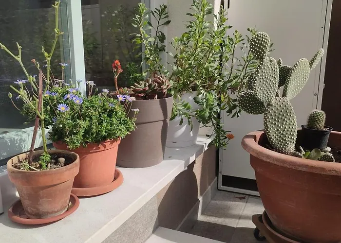 Апартаменти Darsena Tra Arte E Mare *