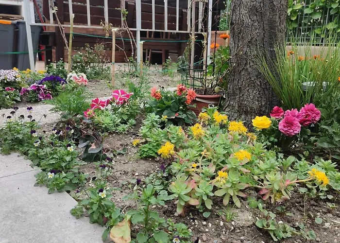 Апартаменти Darsena Tra Arte E Mare Равенна