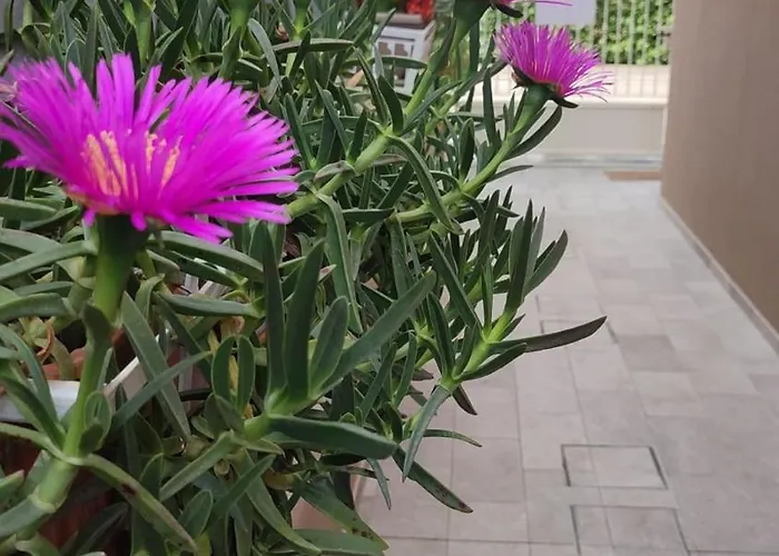 Апартаменти Darsena Tra Arte E Mare Равенна