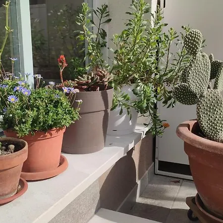 Appartement Darsena Tra Arte E Mare *