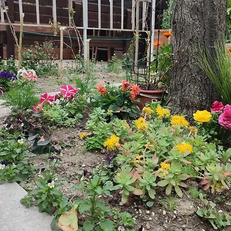 Апартаменты Darsena Tra Arte E Mare Равенна