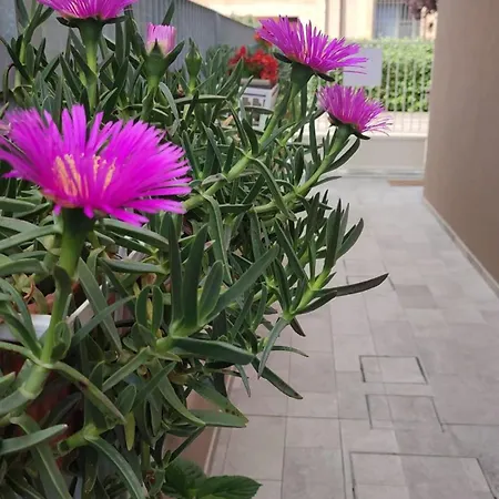 Appartement Darsena Tra Arte E Mare Ravenne